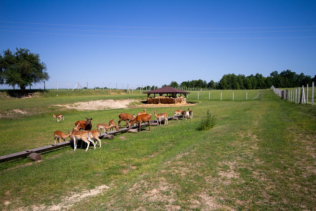 Zagroda Nad Kotelnia