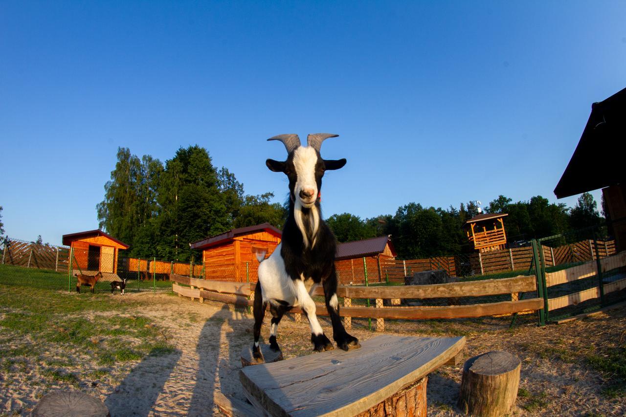 Zagroda Nad Kotelnia Pawlowa